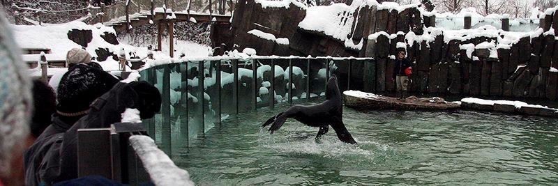 Foto: Jozef Sebíň, Zoo Praha